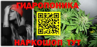 крисы Комсомольск-на-Амуре