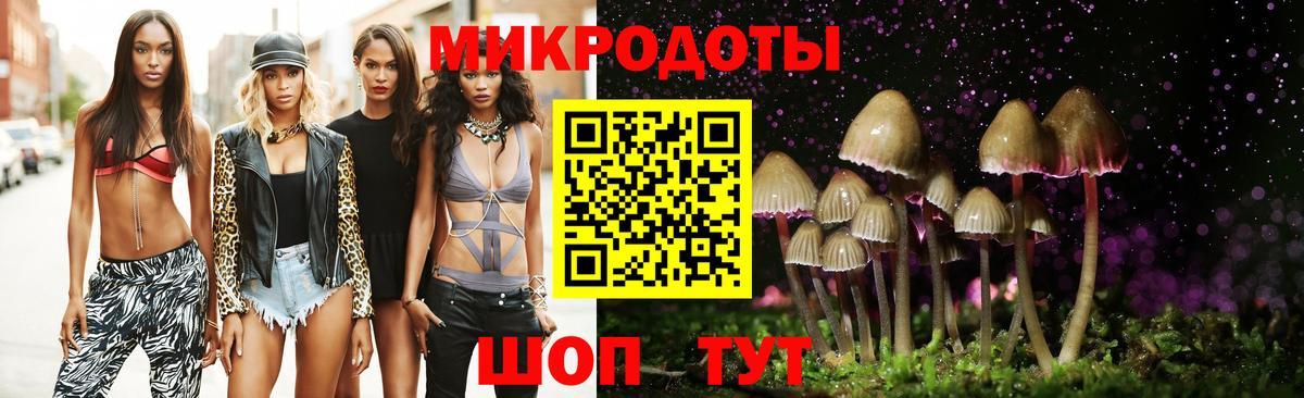 Галлюциногенные грибы GOLDEN TEACHER  Вход с VPN  где продают наркотики  Корсаков 
